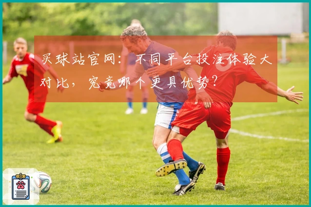 买球站官网：不同平台投注体验大对比，究竟哪个更具优势？