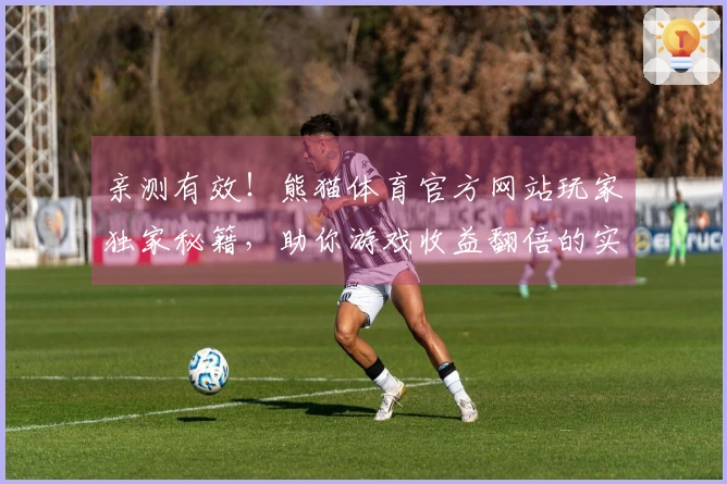 亲测有效！熊猫体育官方网站玩家独家秘籍，助你游戏收益翻倍的实操心得