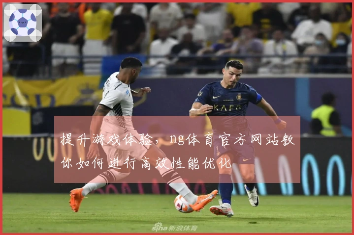 提升游戏体验，ng体育官方网站教你如何进行高效性能优化