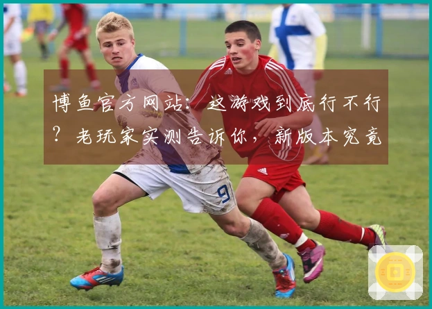 博鱼官方网站：这游戏到底行不行？老玩家实测告诉你，新版本究竟改了啥！