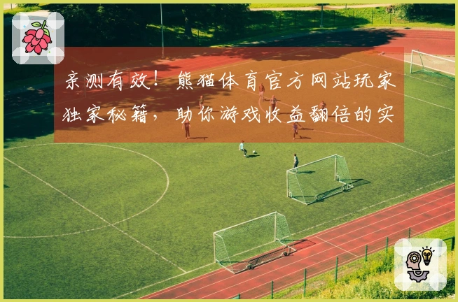 亲测有效！熊猫体育官方网站玩家独家秘籍，助你游戏收益翻倍的实操心得